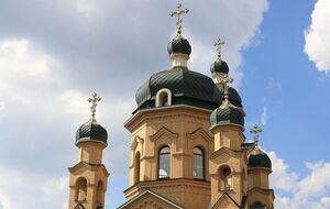 Кількість організацій, які претендували на бронювання, скоротили в кілька разів