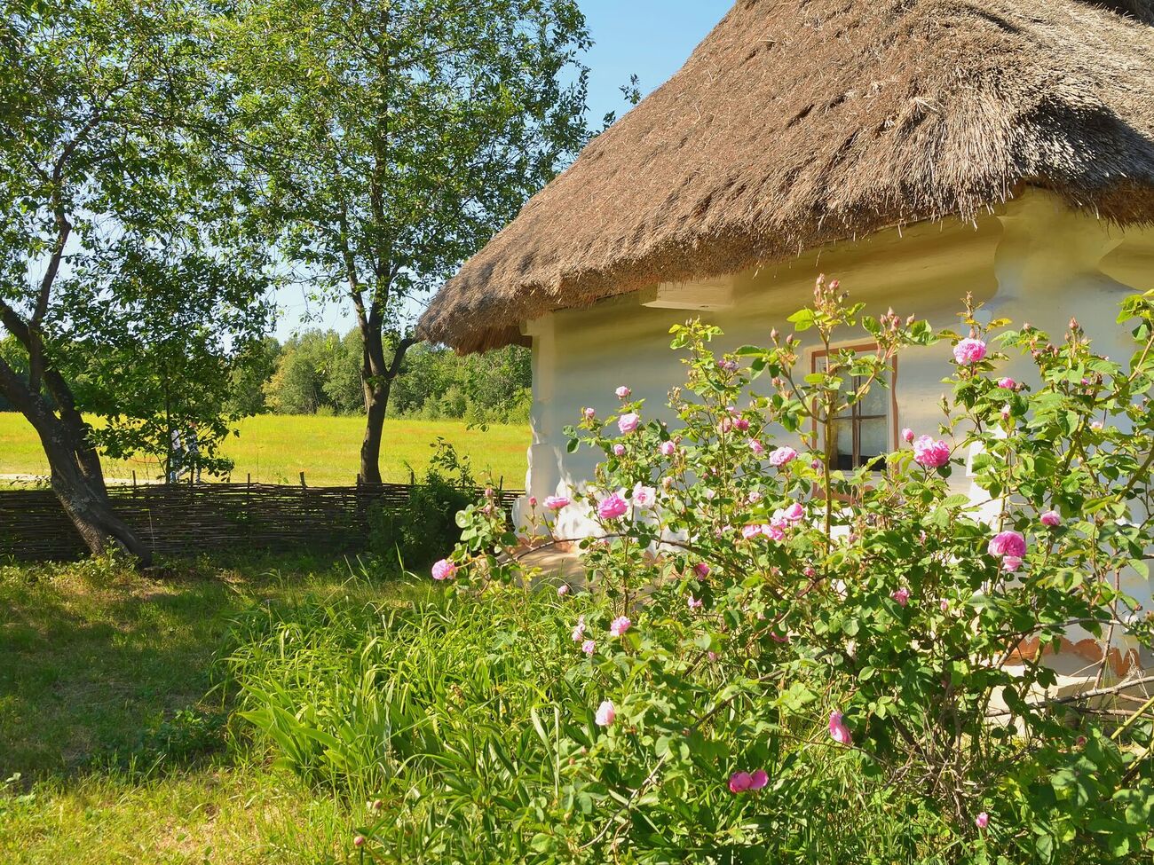 По традиции, на праздник Троицы храмы и дома украшают зелеными ветвями и ароматными травами