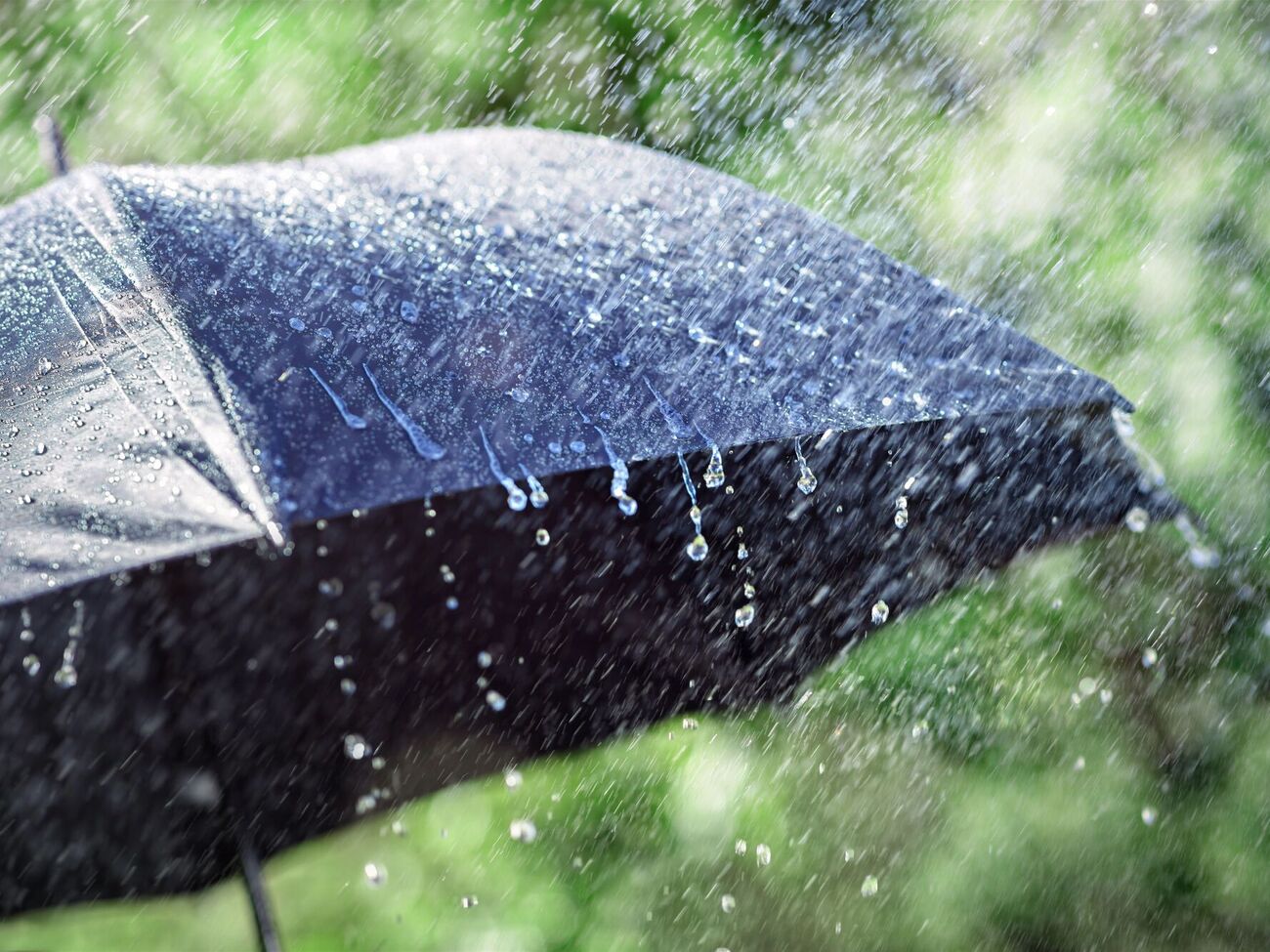 В части регионов Украины пройдут дожди