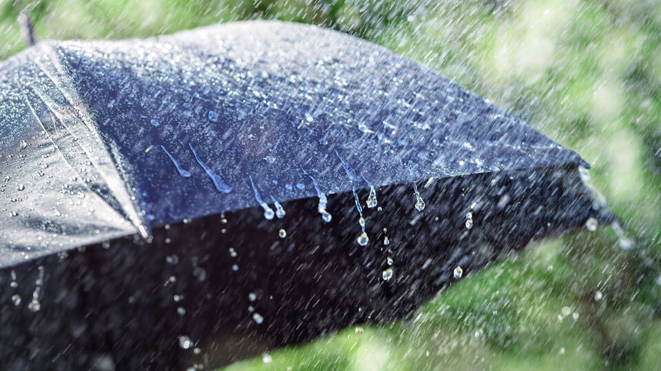 В части регионов Украины пройдут дожди