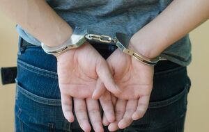 Видання також наводить свідчення двох людей, які стверджують, що юнак говорив про смерть рідних ще за кілька днів до трагедії