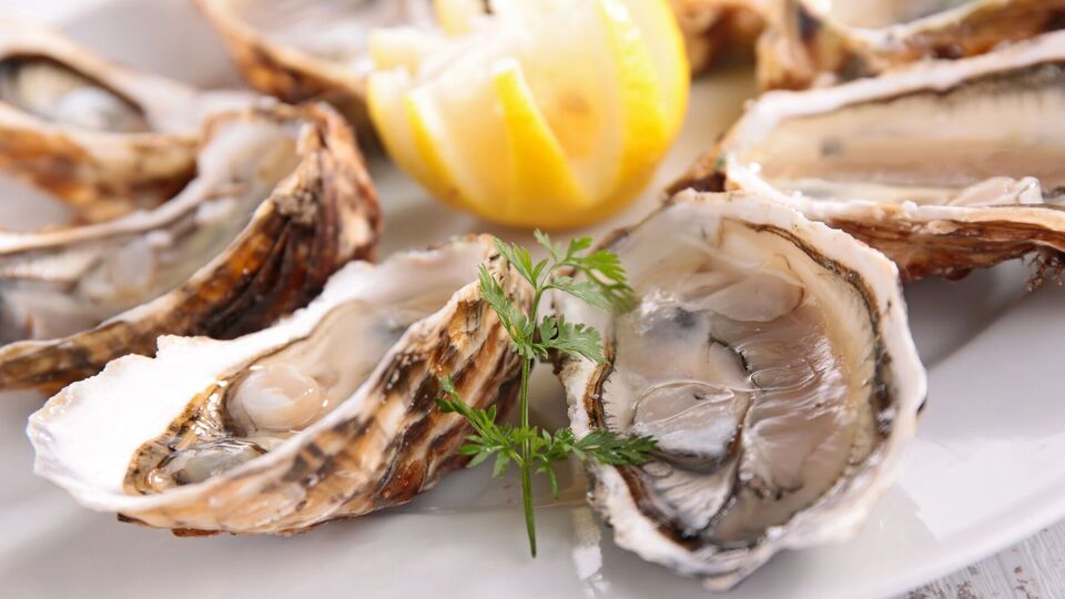 Устрицы содержат жирные кислоты омега-3