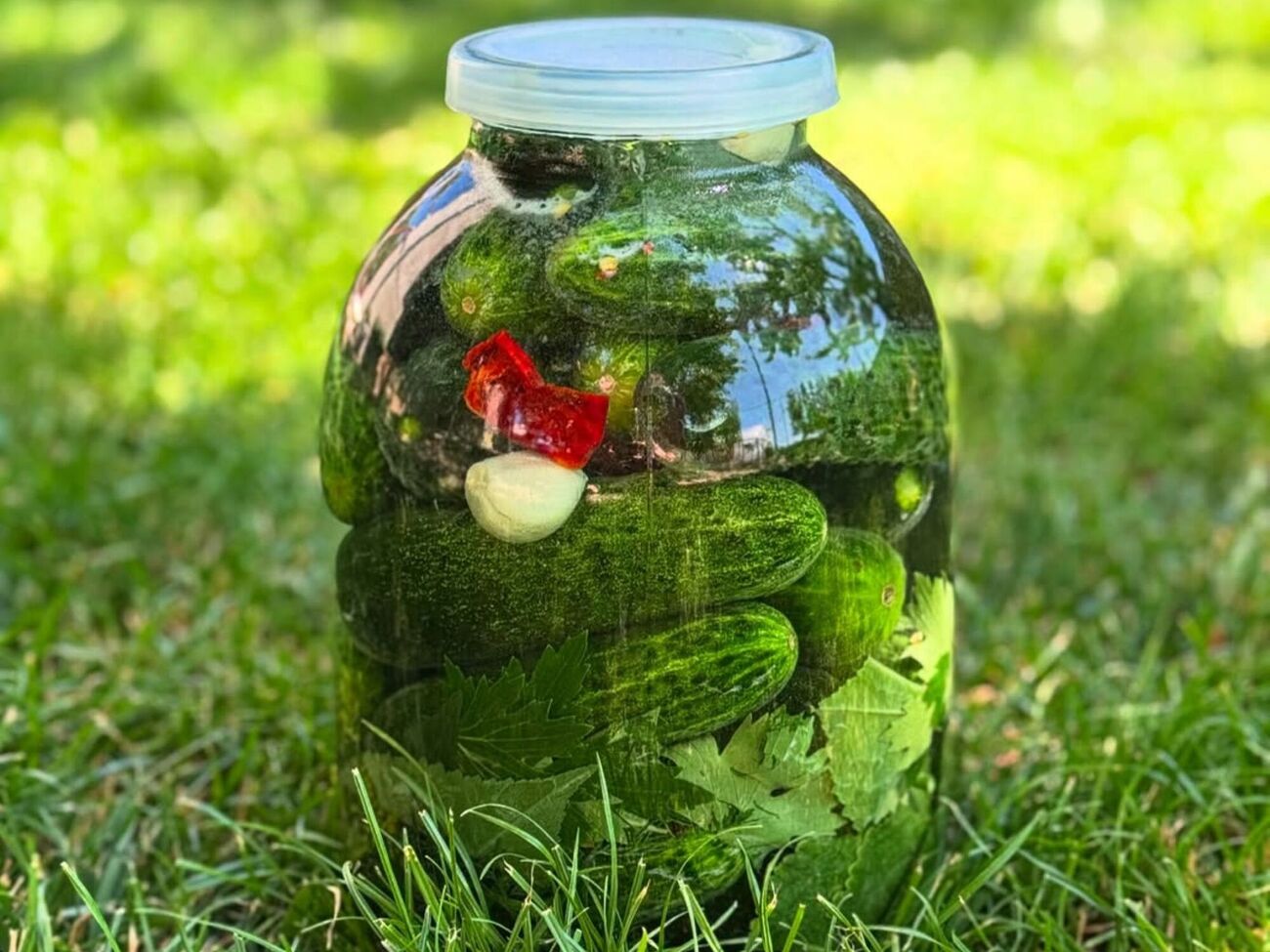 Для того щоб квашені огірки вийшли дуже смачними, потрібно взяти часник і гострий перець