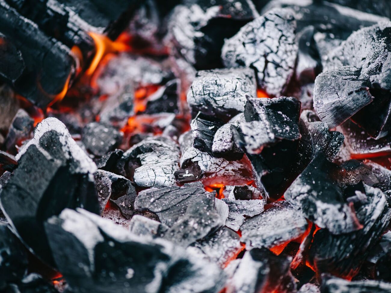 Зола не всегда полезна для растений