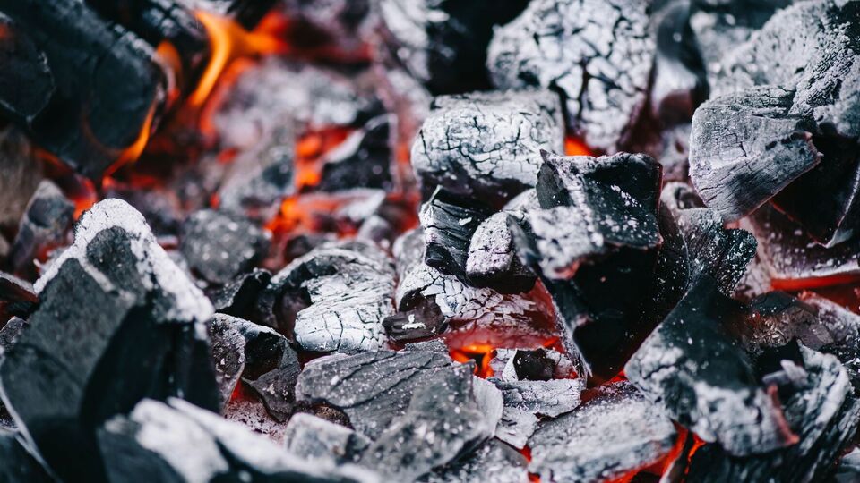 Зола не всегда полезна для растений