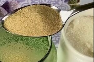 Перед внесенням підживлення полийте огірки водою