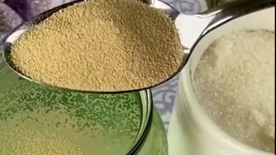 Перед внесенням підживлення полийте огірки водою