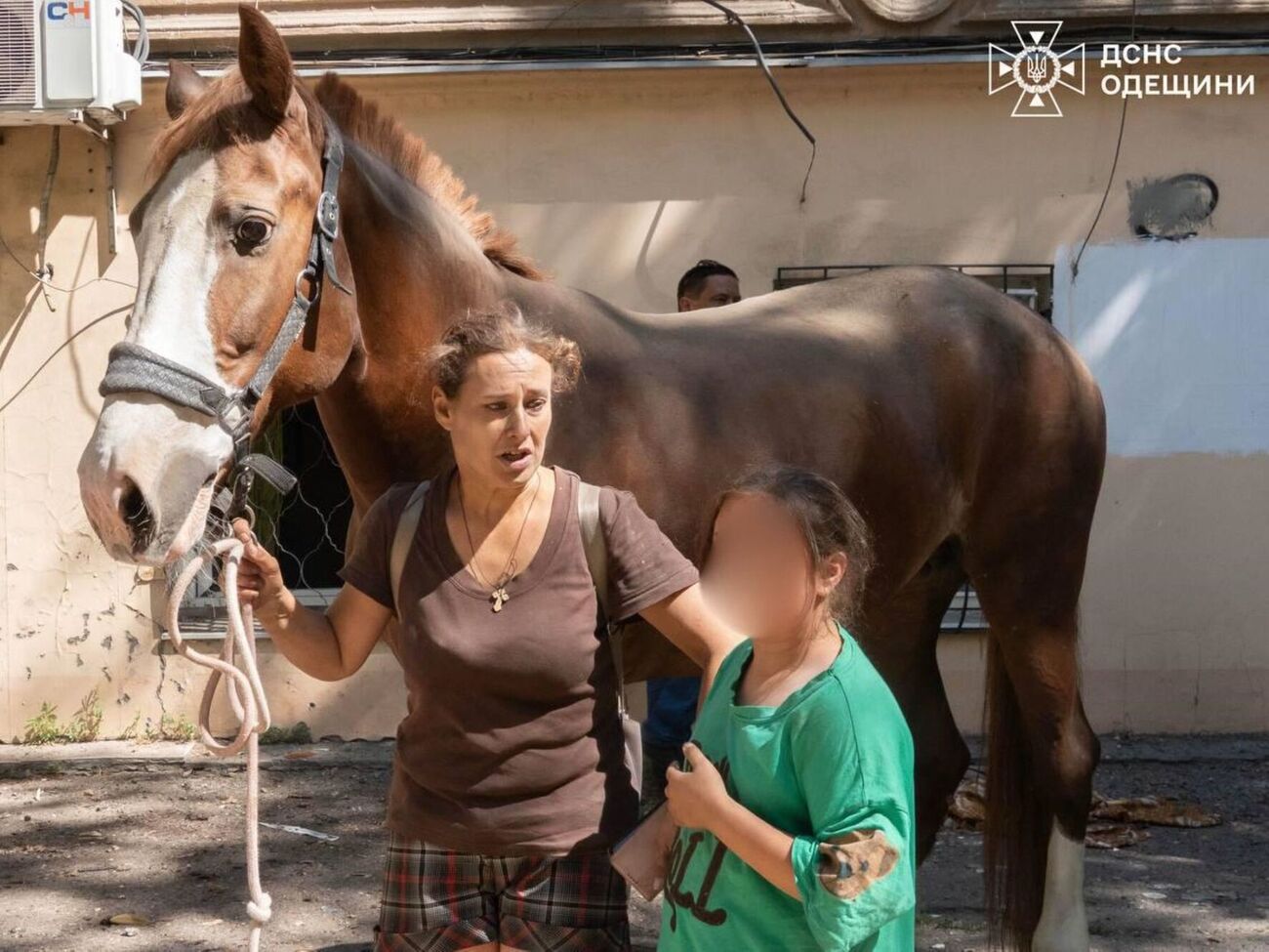 Загалом у стайні перебували п'ять коней і чотири поні