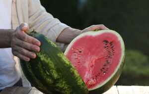 Арбузы нужно очень тщательно мыть перед тем, как разрезать