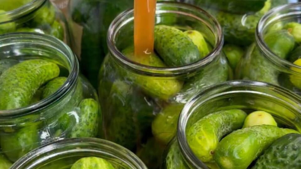 Закройте банки герметично крышками, переверните и оставьте до полного остывания, накрыв одеялом