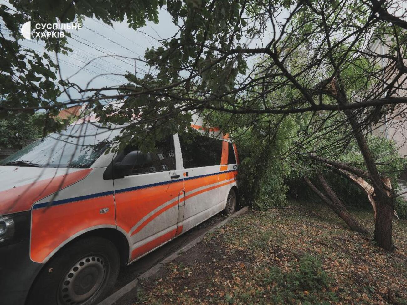 У місті повалено 450 дерев