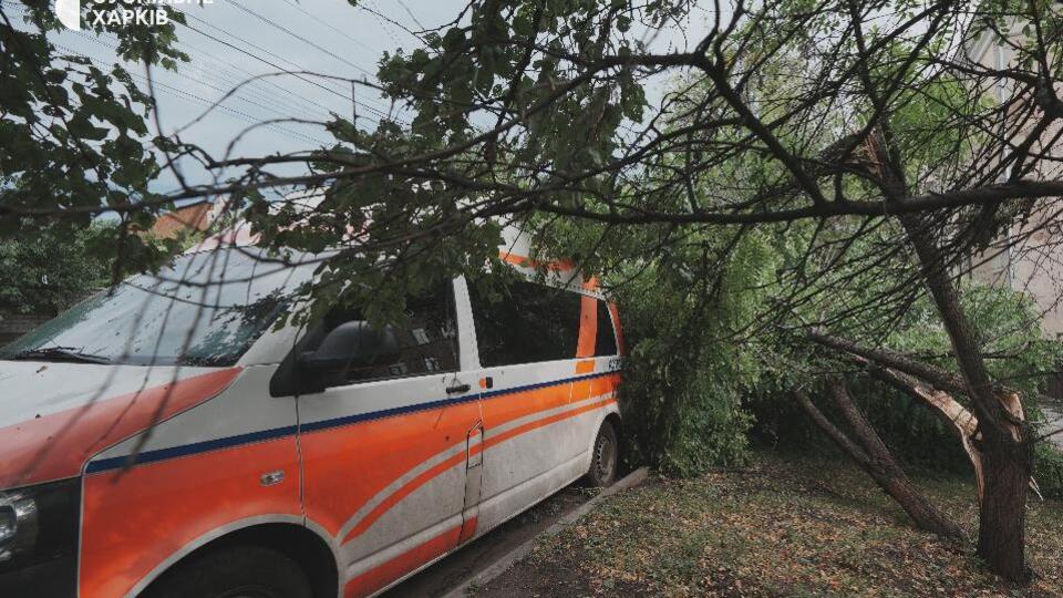 У місті повалено 450 дерев