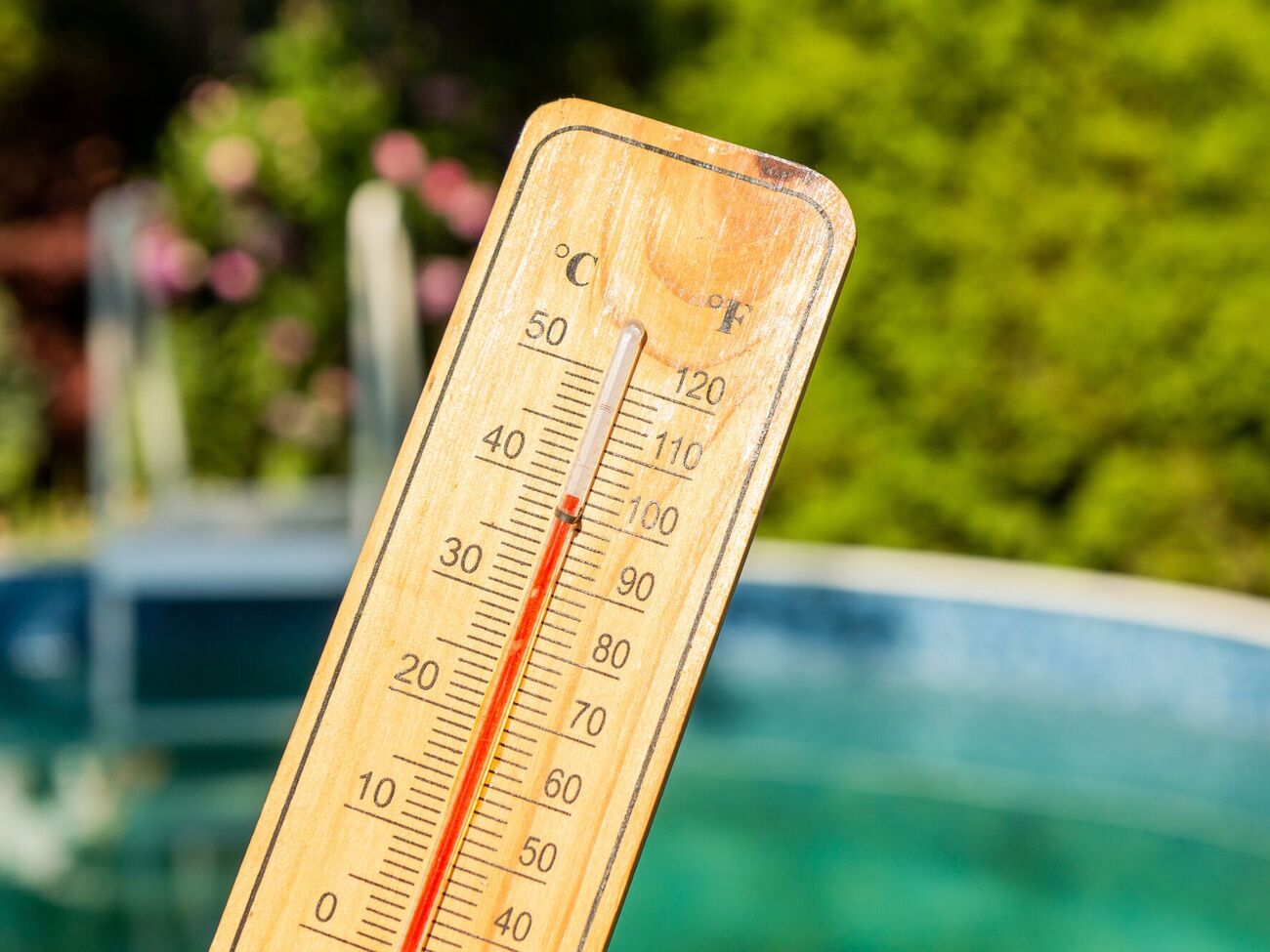 Диденко подчеркнула, что прогноз до 22 июля еще может измениться, озвученный ею – предварительный