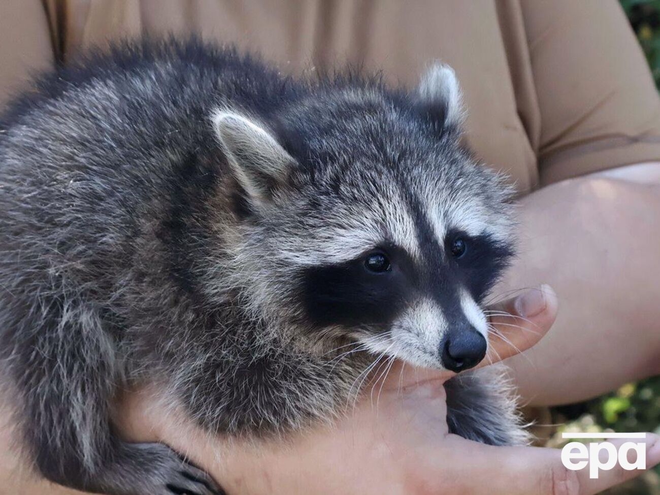 Моллі проводжає бійців на позиції і зустрічає звідти