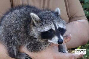 Моллі проводжає бійців на позиції і зустрічає звідти