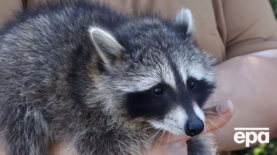 Моллі проводжає бійців на позиції і зустрічає звідти
