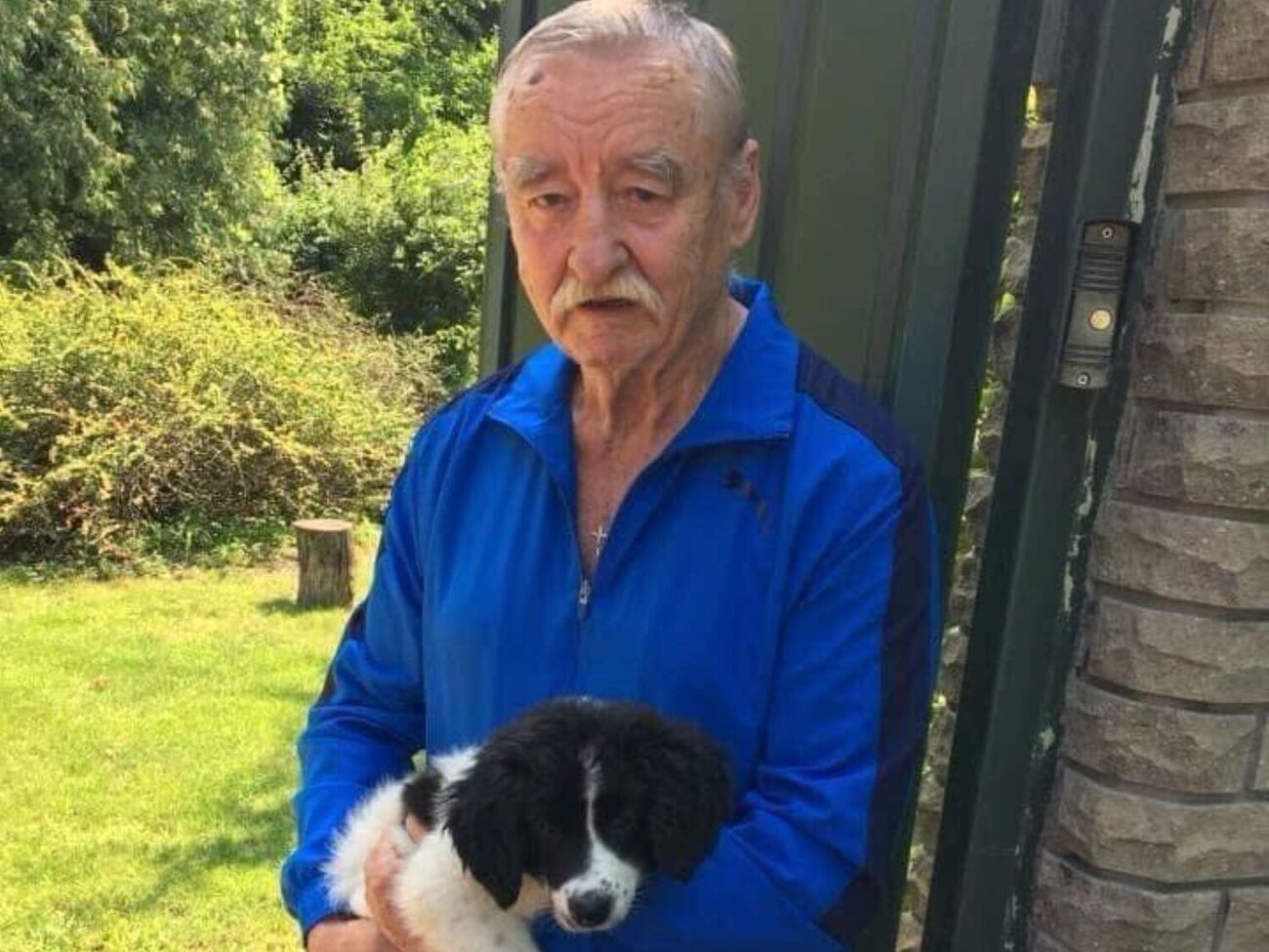 Светлана Поклад об изменении поведения собаки: Ест только из рук