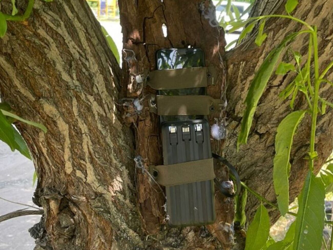 Перед выполнением основных задач фигуранты сделали "тестовое" – подожгли авто украинского воина, отметили в СБУ