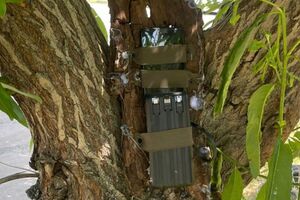 Перед выполнением основных задач фигуранты сделали "тестовое" – подожгли авто украинского воина, отметили в СБУ