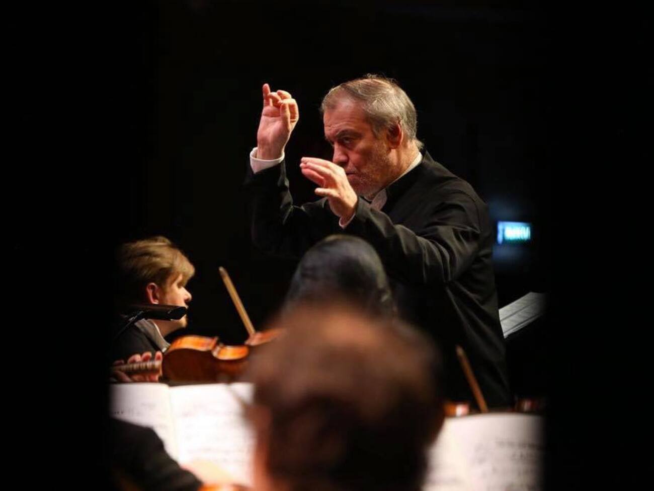 Украинцы за границей требуют запретить Гергиеву выступать на фестивале Un'Estate da RE