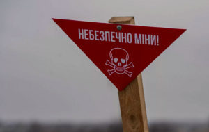 Закон дозволяє отримувати міни й застосовувати їх