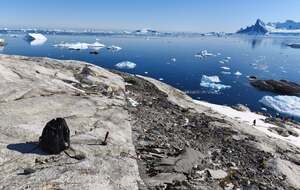 В Украине набирают полярников в экспедицию