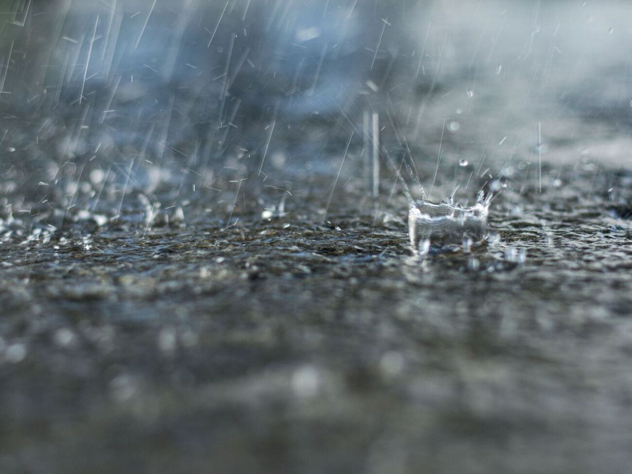 ГСЧС предупредила о сильной грозе