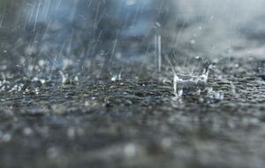 ГСЧС предупредила о сильной грозе