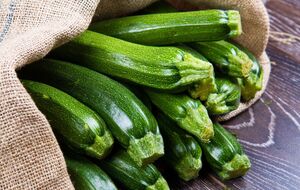 Если удалить ботву с кабачков, плодов будет больше