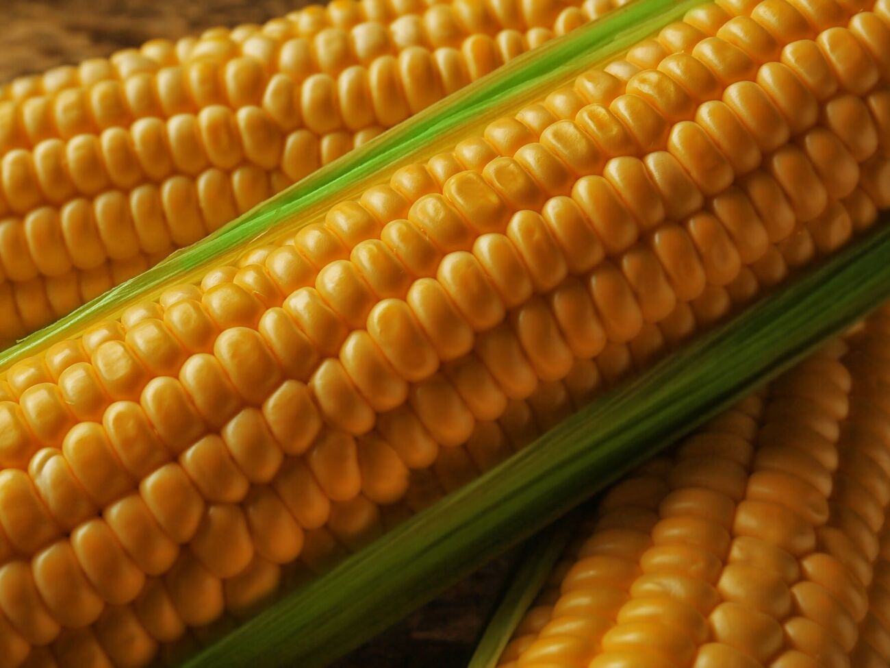 Треба оглянути зерна кукурудзи