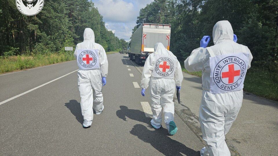 Повернення загиблих українців відбулося в межах Стамбульських домовленостей