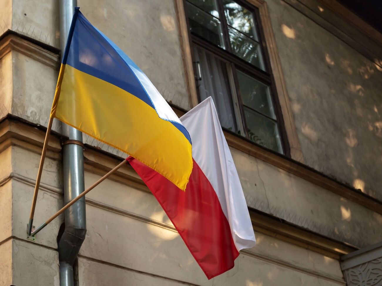 С ноября приюты будут принимать только представителей защищенных групп