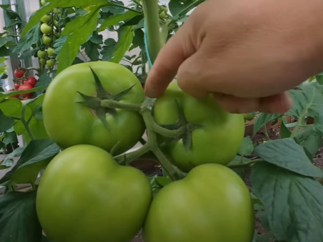 Городник рекомендує скористатися спеціальними пружинами