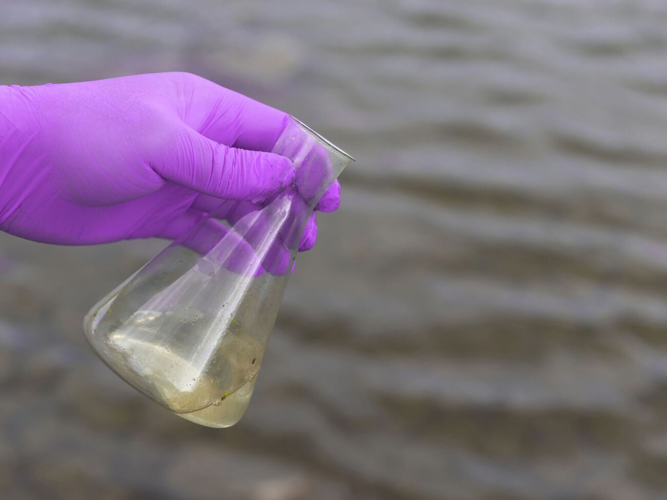 Специалисты, в частности, отобрали пробы воды, почвы и воздуха