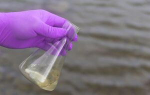 Специалисты, в частности, отобрали пробы воды, почвы и воздуха