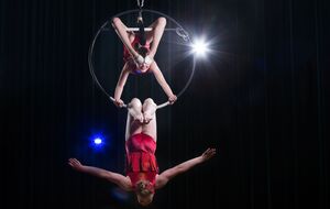 Против Осиновских возбуждено уголовное дело. Сестрам грозит до пяти лет колонии