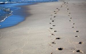 Часть пляжей официально не открывали из-за войны