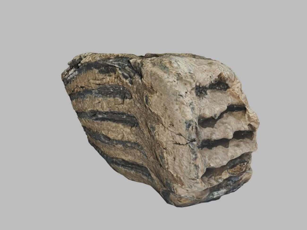 Во время обустройства позиций мужчина заметил участок грунта с необычным цветом и текстурой, рассказали в ОВА