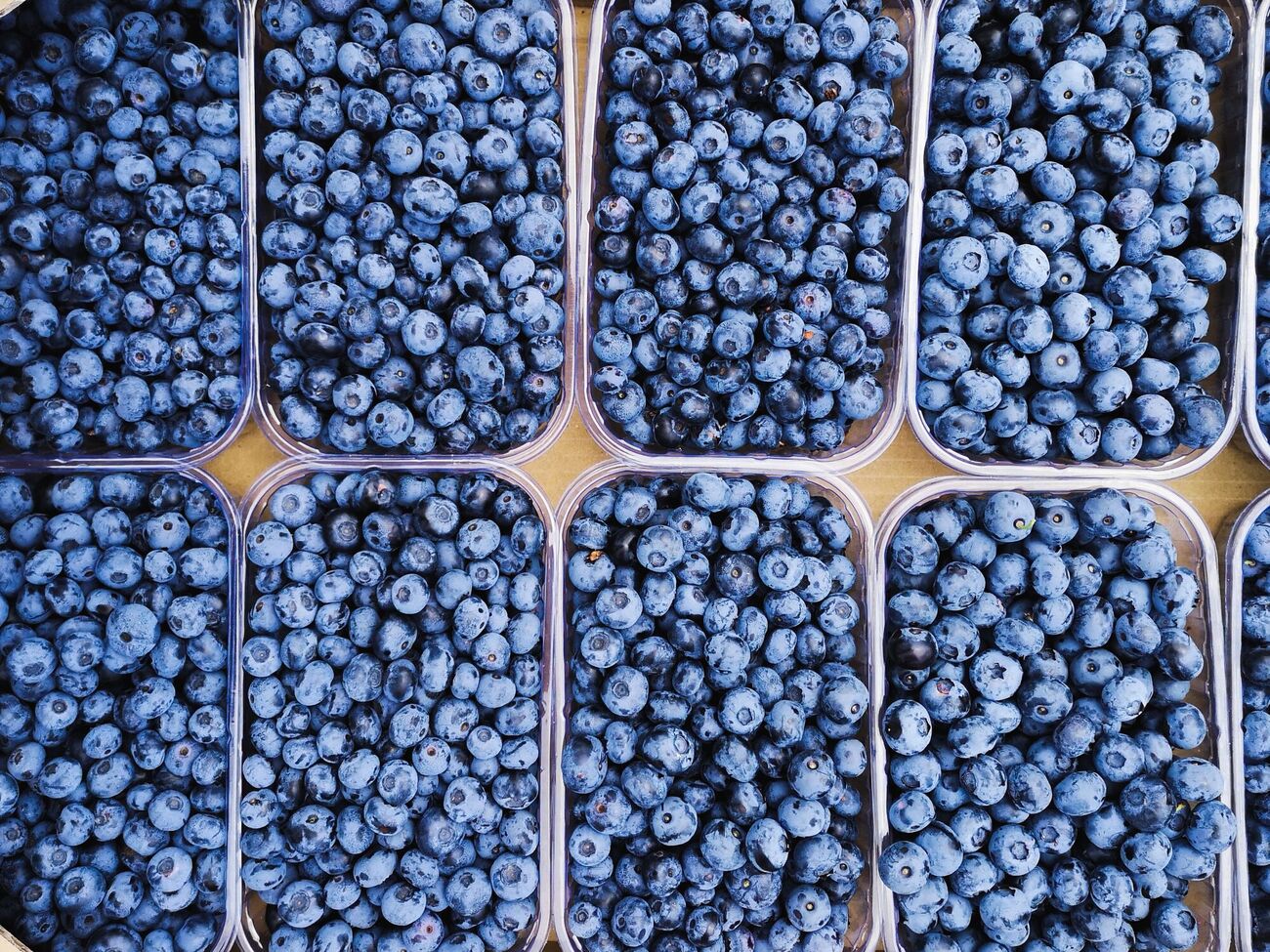 Массово голубика из украинских хозяйств начнет поступать в продажу уже со следующей недели