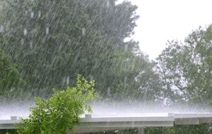 В ряде регионов Украины ожидаются дожди