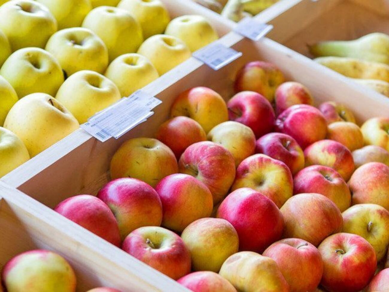 Баштанник: Яблука немає де зберігати на зиму