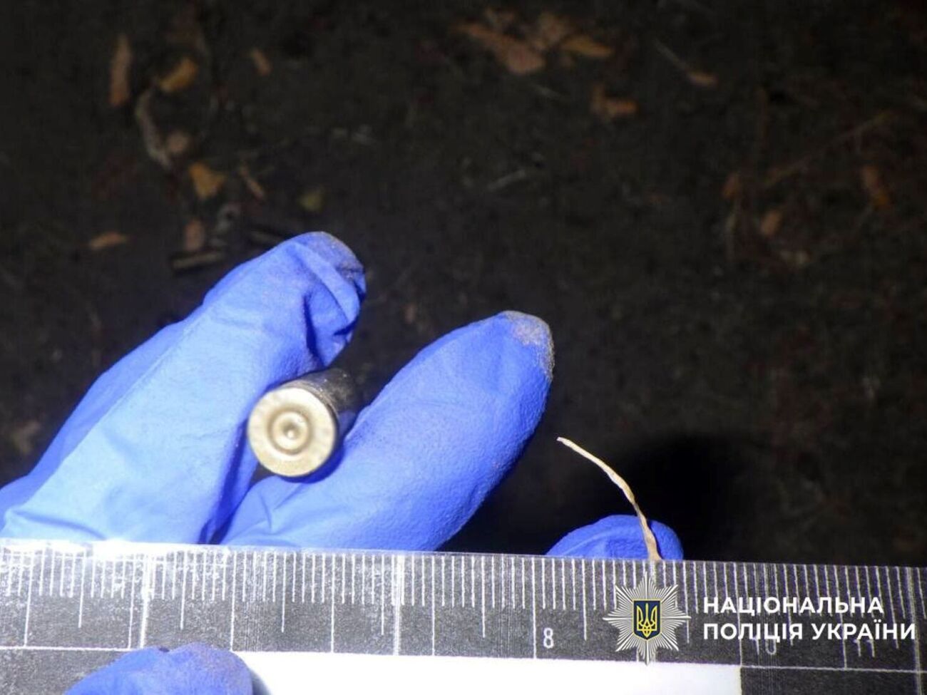 Поліцейські розповіли про чотири постріли в повітря і два – у дерево