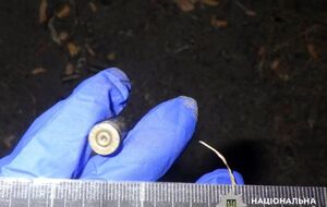 Поліцейські розповіли про чотири постріли в повітря і два – у дерево