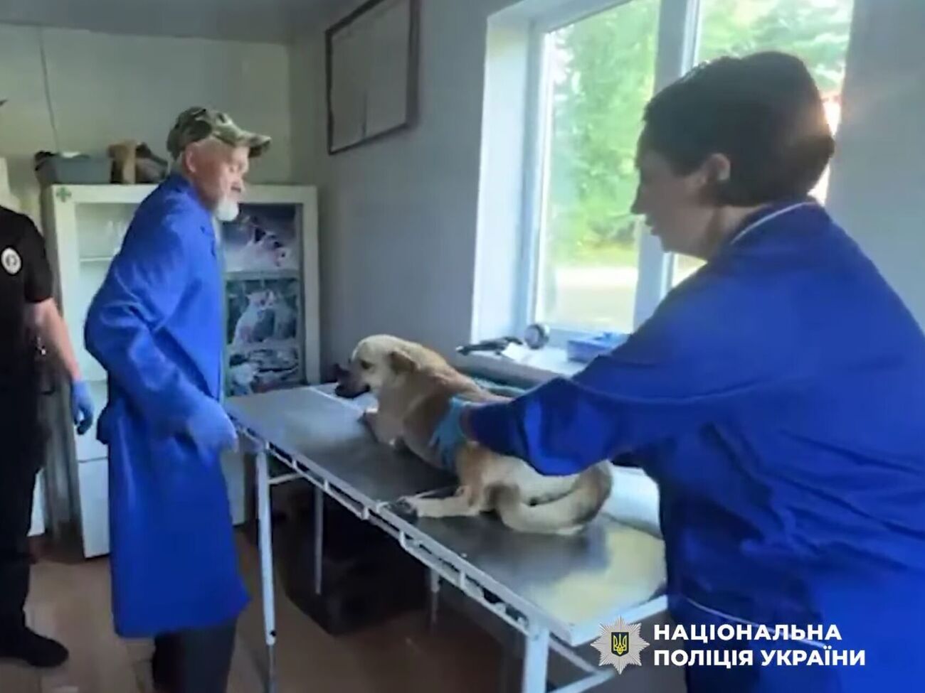 Собаку показали ветеринарам, а фігуранта доправили в ТЦК