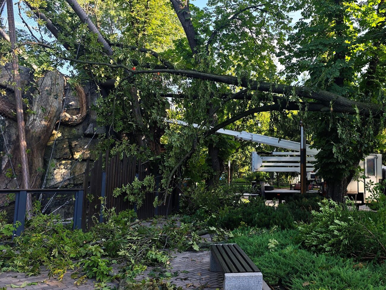 Непогодой повреждены здания и деревья в зоопарке