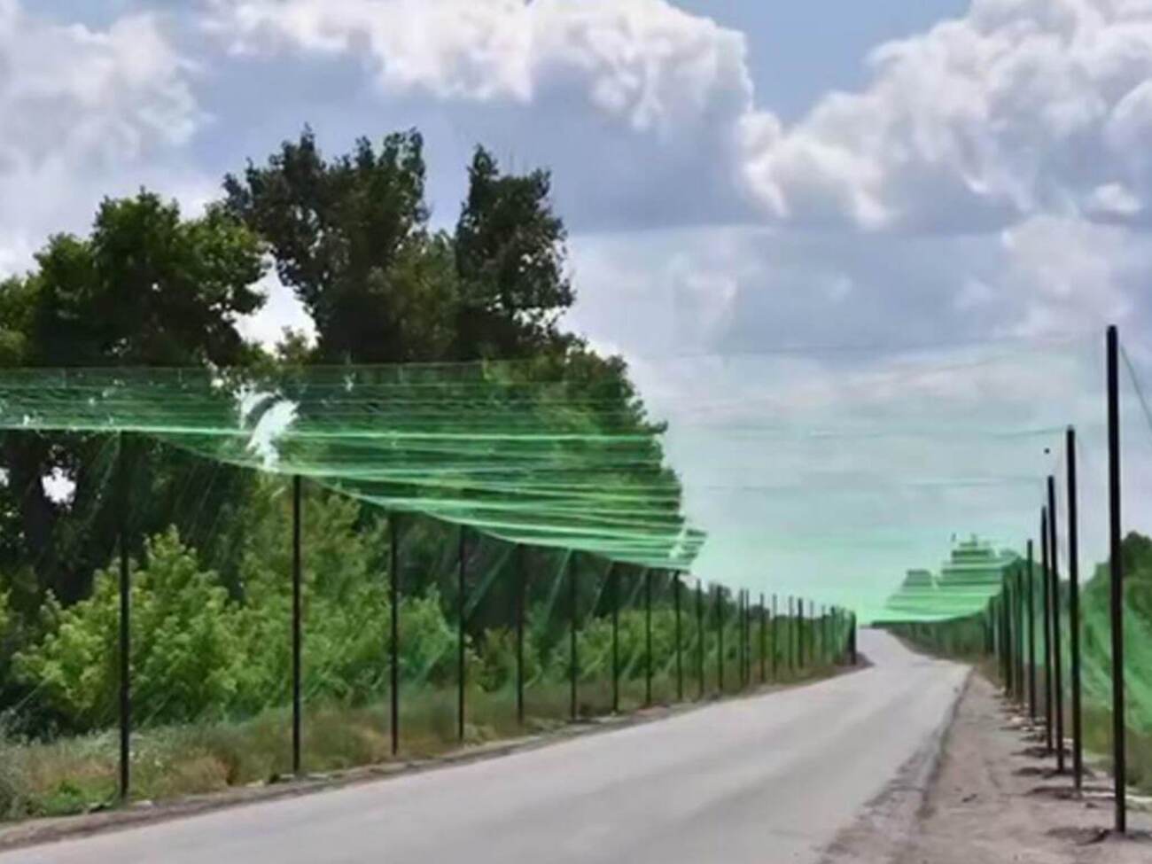 Протяженность "антидроновой дороги" достигает 6,5 км