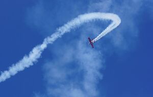 Мужчина и женщина, находившиеся в самолете, погибли