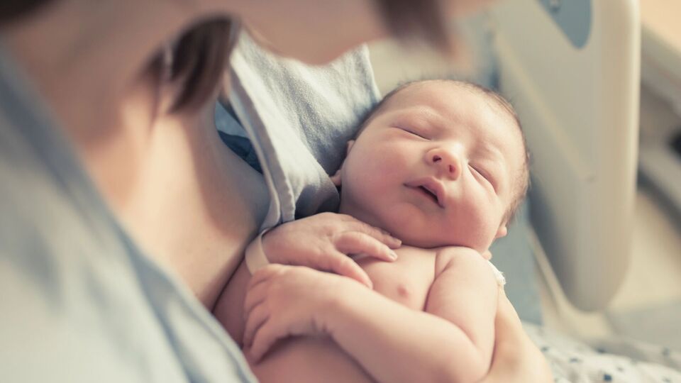 Для дівчаток батьки найчастіше обирали імена Соломія, Вікторія, Поліна, Анна, Марія, Вероніка