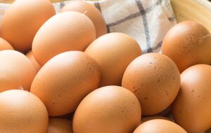 Яйца в лотке должны лежать острым концом вниз