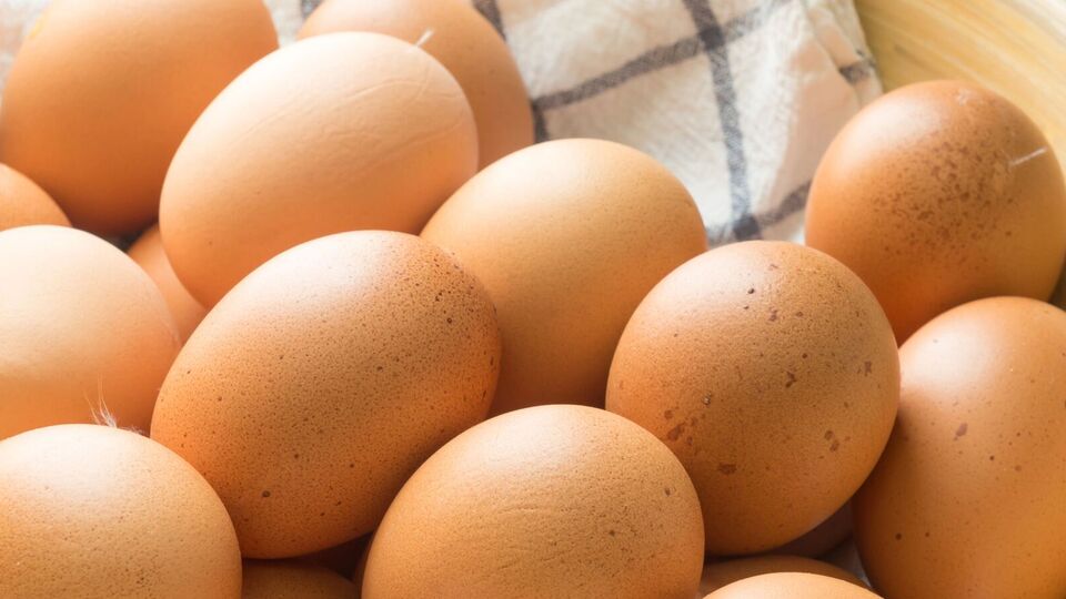 Яйца в лотке должны лежать острым концом вниз